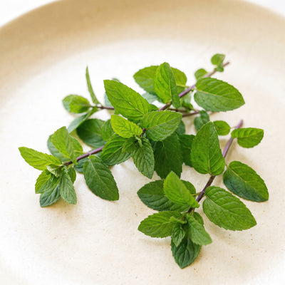 Wild Peppermint