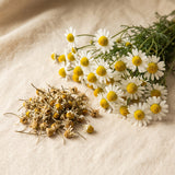 German Chamomile Extract